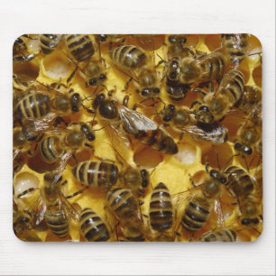 Alfombrilla De Ratón Abejas de la miel en colmena con la reina en