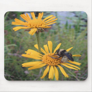 Alfombrilla De Ratón Abejorro en Balduina Mousepad