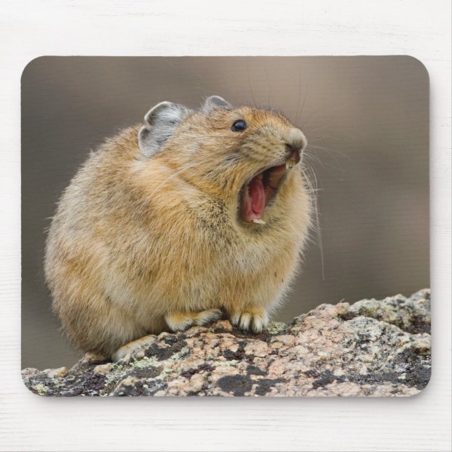 Alfombrilla De Ratón Ábrase de par en par