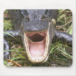 Alfombrilla De Ratón ¡Ábrase de par en par! Cocodrilo de la Florida