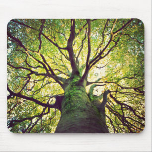 Alfombrilla De Ratón Abrazo del árbol