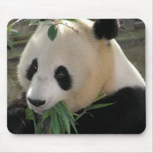Alfombrilla De Ratón Abrazos de oso panda