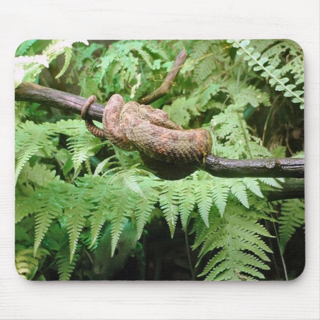 Alfombrilla De Ratón Abrigo de la serpiente de la selva tropical - (Frente)