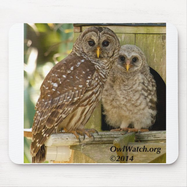 Alfombrilla De Ratón Abucheo y mamá - 2014 - Mousepad (Frente)