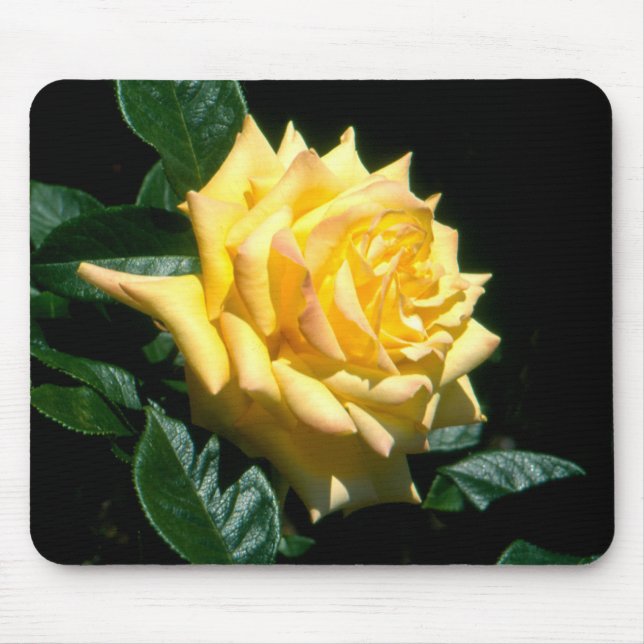 Alfombrilla De Ratón Abuelo Dickson (Frente)