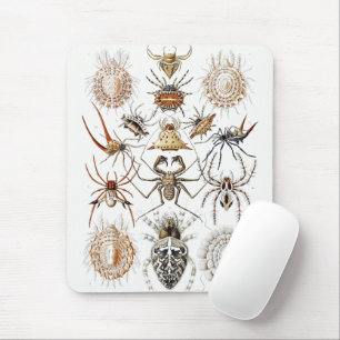 Alfombrilla De Ratón Academia Oscura Haeckel Vintage Araña Simetría Art