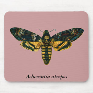 Alfombrilla De Ratón Acherontia atropos (Halcón de la Cabeza de la Muer