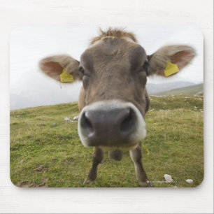 Alfombrilla De Ratón Acobárdese cerca de Tre Cime Di Lavaredo en