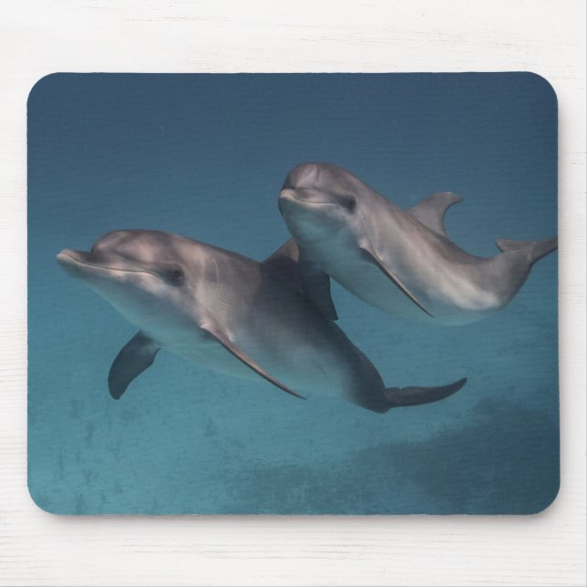 Alfombrilla De Ratón Actitud juguetona (Frente)