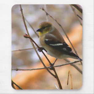 Alfombrilla De Ratón Acuarela del Goldfinch