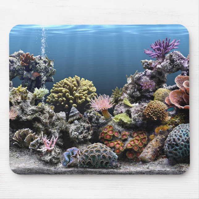 Alfombrilla De Ratón Acuario (Frente)