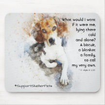 Adoptar Un Mascota De Refugio - Beagle