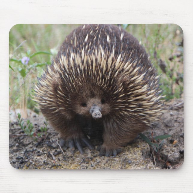 Alfombrilla De Ratón Adorable Australian Echidna (Frente)