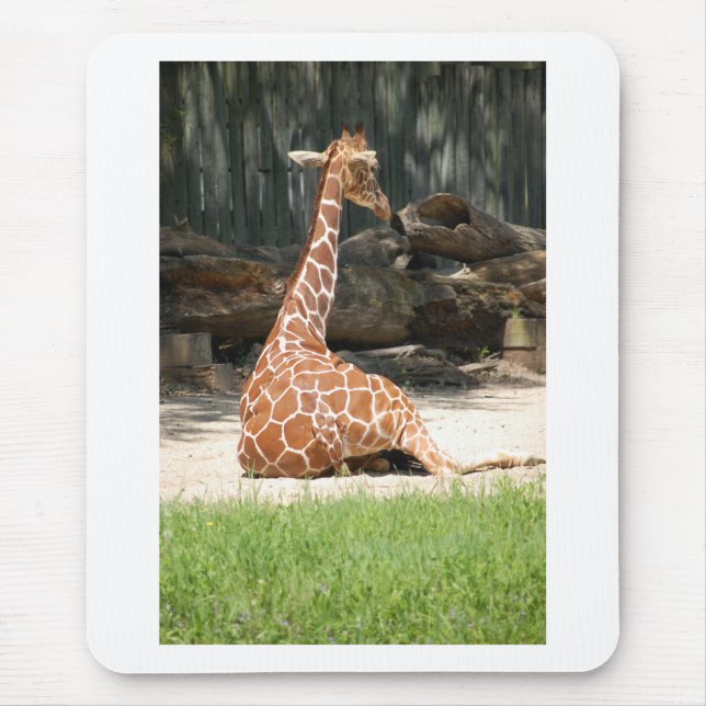 Alfombrilla De Ratón Adorable Sitting Giraffe (Frente)