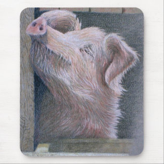 Alfombrilla De Ratón Adoración de Sun