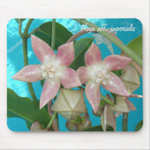 Alfombrilla De Ratón Aff de Hoya. imperialis MousePad