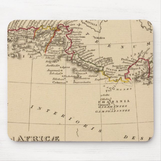 Alfombrilla De Ratón África 37 (Frente)