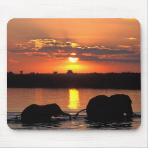 Alfombrilla De Ratón África, Botsuana, Parque Nacional Chobe, Manada