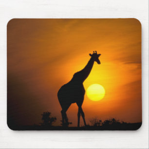 Alfombrilla De Ratón África, Kenia, Masai Mara. Jirafa (Giraffa