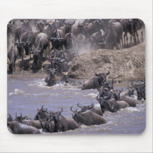 Alfombrilla De Ratón África, Kenia, Parque Nacional Masai Mara.