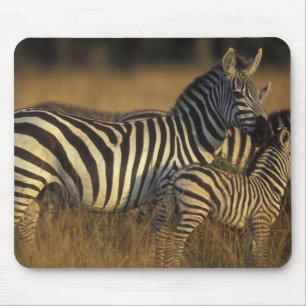 Alfombrilla De Ratón África, Kenia, Reserva de caza Masai Mara. Llanura