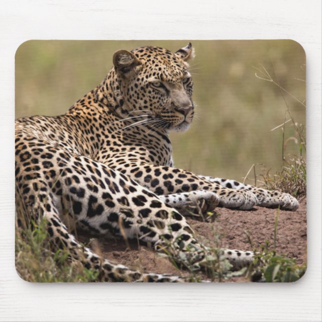 Alfombrilla De Ratón África, Tanzania, Serengeti. Leopardo (Frente)