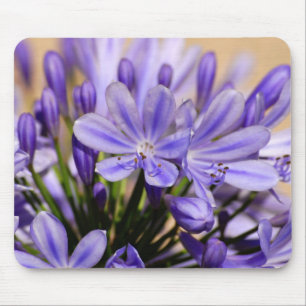 Alfombrilla De Ratón Agapanthus