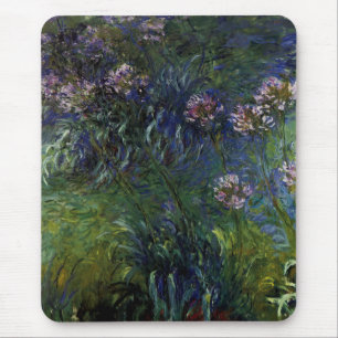 Alfombrilla De Ratón Agapanthus