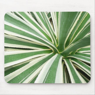 Alfombrilla De Ratón Agave Plant Green y White Strike