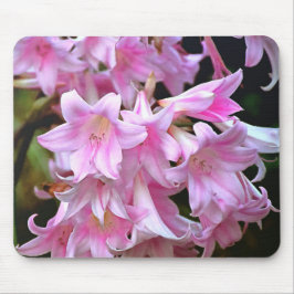 Alfombrilla De Ratón Agradable Belladonna Amaryllis Lilies