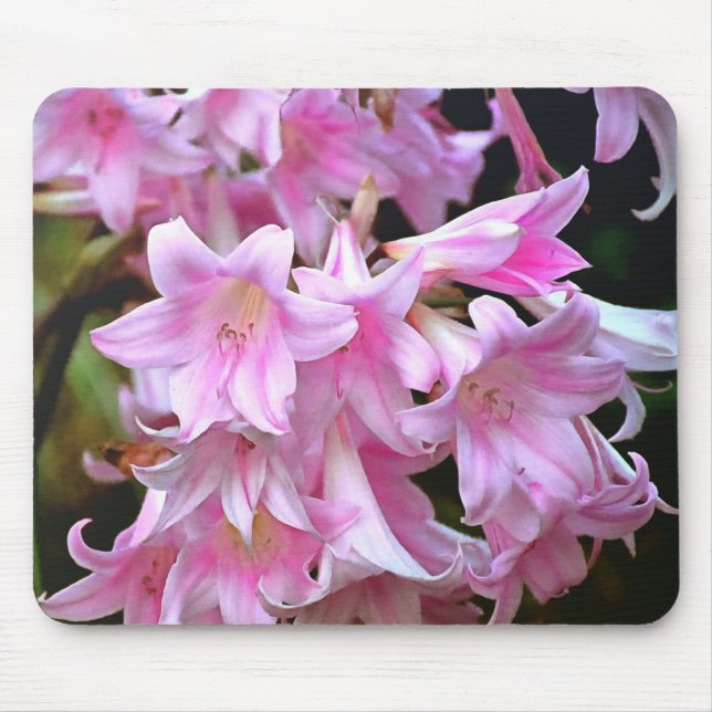 Alfombrilla De Ratón Agradable Belladonna Amaryllis Lilies (Frente)