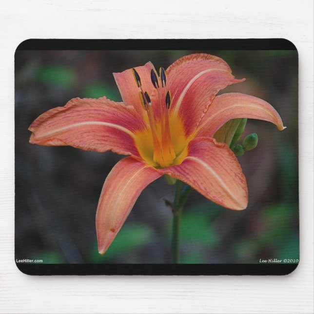 Alfombrilla De Ratón Agradable Tawny Daylily Appary regalos (Frente)