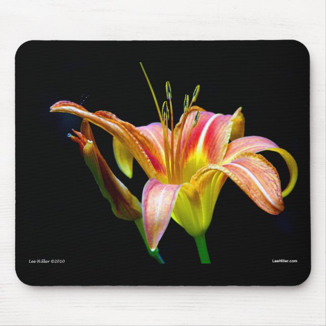 Alfombrilla De Ratón Agradable Tawny Daylily II Aparatos y Regalos (Frente)
