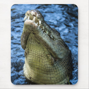 Alfombrilla De Ratón Agua de los dientes de cocodrilo