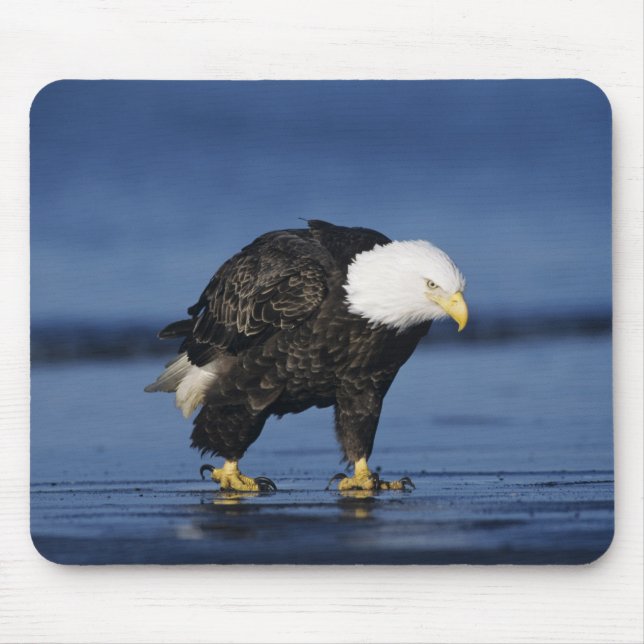 Alfombrilla De Ratón Águila calva (Frente)