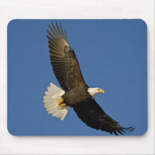 Alfombrilla De Ratón Águila calva, Haliaeetus leucocephalus, Homer,
