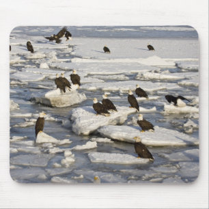 Alfombrilla De Ratón Águila calva, Haliaeetus leucocephalus, Homer, 2