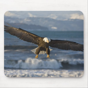 Alfombrilla De Ratón Águila calva, Haliaeetus leucocephalus, Homer, 3