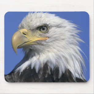 Alfombrilla De Ratón Águila calva, (Haliaeetus leucocephalus), salvaje,