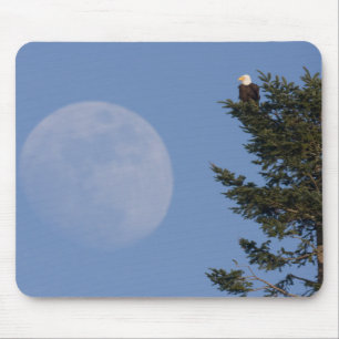 Alfombrilla De Ratón Águila calva Luna llena creciente