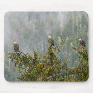 Alfombrilla De Ratón Águilas calvas Bosque nacional de Tongass Alaska