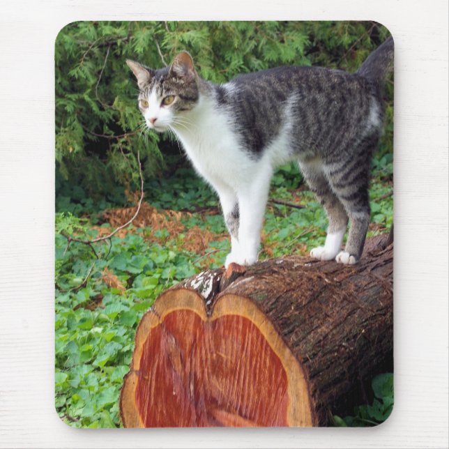 Alfombrilla De Ratón Ahora Tienes Mi Atención - Kitty Mousepad (Frente)