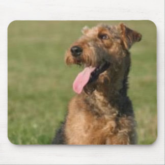 Alfombrilla De Ratón Airedale Mousepad
