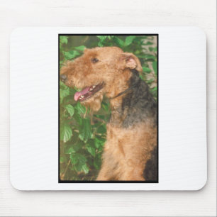 Alfombrilla De Ratón Airedale Terrier