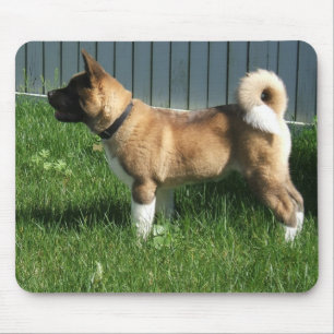 Alfombrilla De Ratón Akita mousepad
