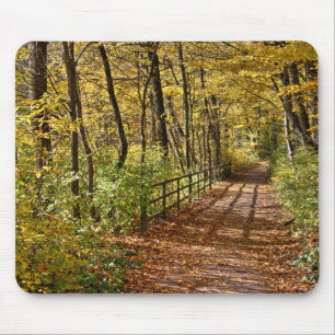 Alfombrilla De Ratón Al Otoño En Wienerwald