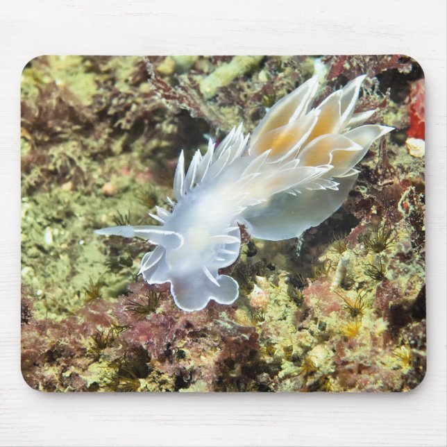 Alfombrilla De Ratón Alabaster Nudibranch (Frente)