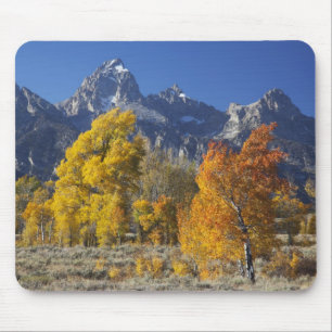 Alfombrilla De Ratón Álamos con la cordillera Teton