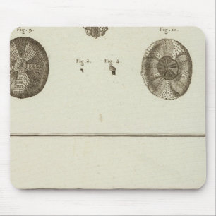 Alfombrilla De Ratón Alaska