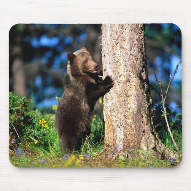 Alfombrilla De Ratón Alaskan Grizzly Bear Cub Mouse Pad (Frente)